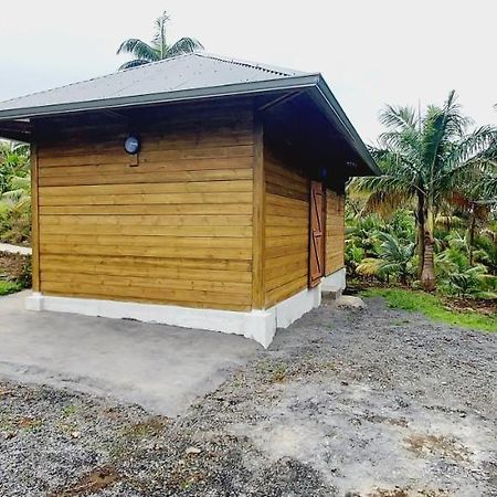 Maison Le Bois Joli Coeur Saint-Benoît Kültér fotó